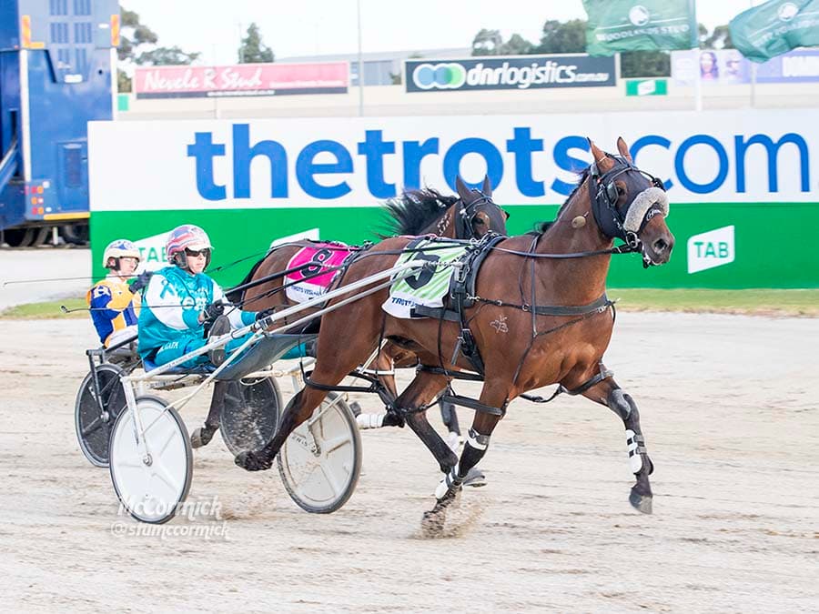 Friday night best bets & punting strategy at Melton for Breeders Crown pacing heats (08/11)