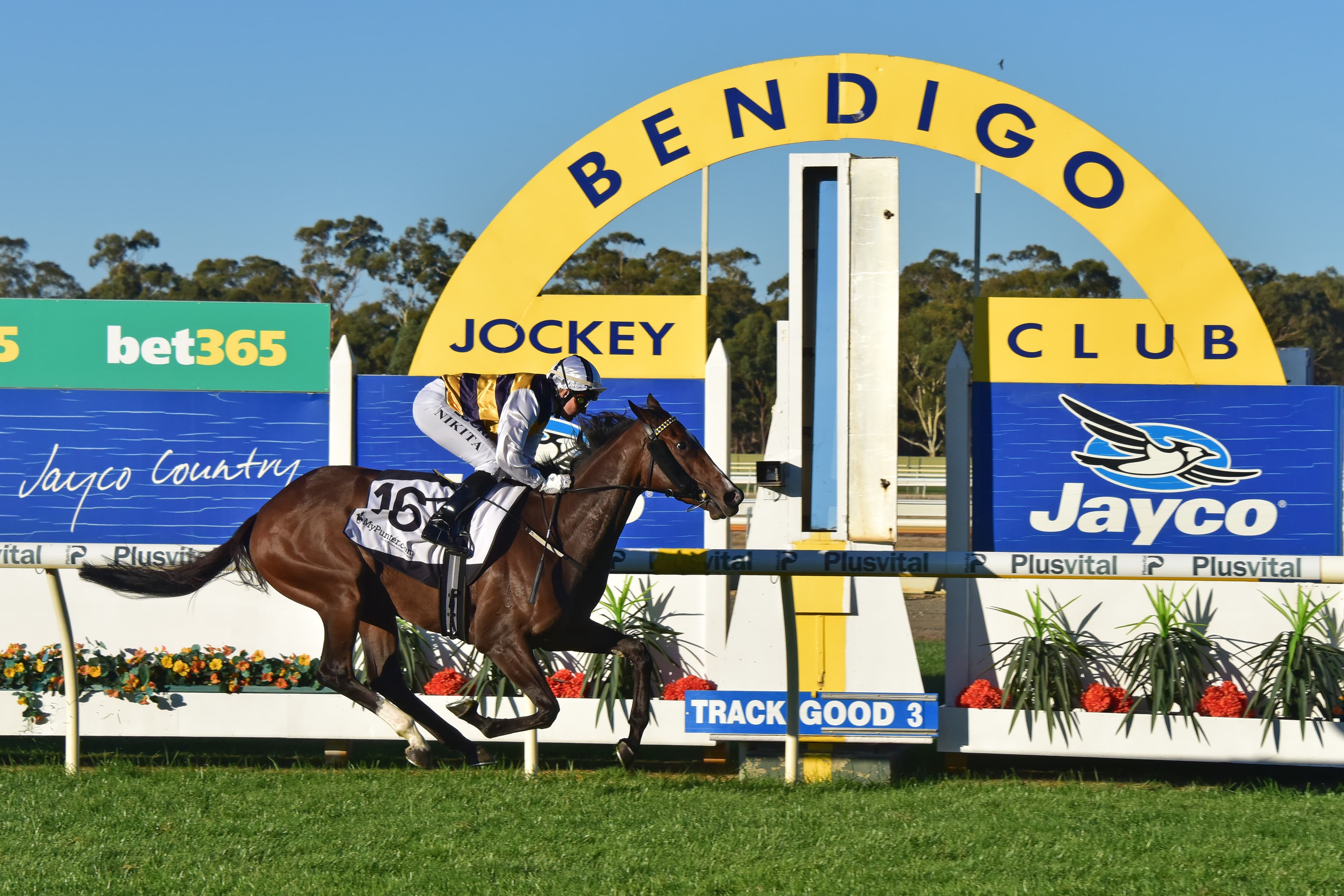 Wednesday best bets from Luke & Pfitzner (29/10)