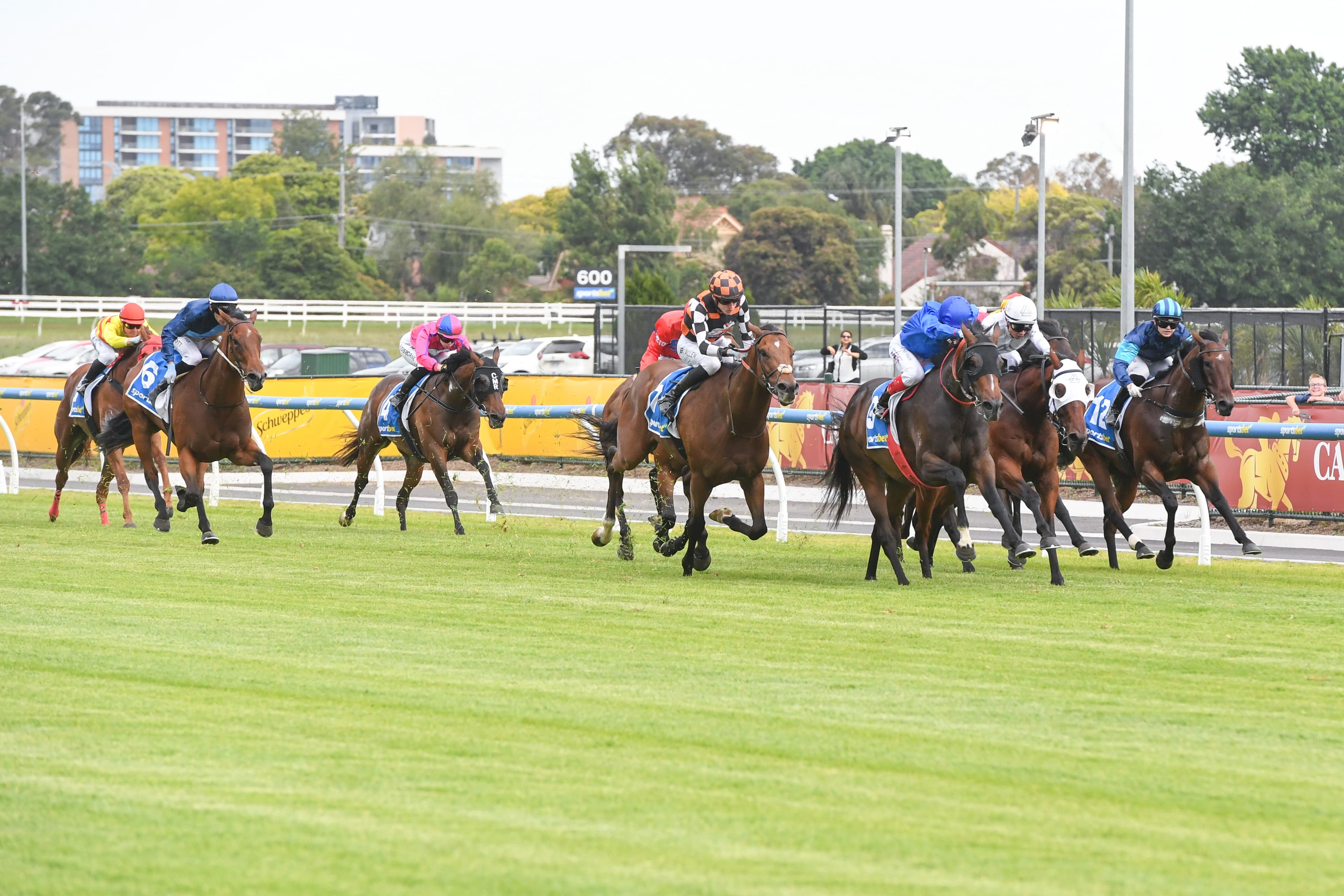 Wednesday best bets from Luke & Hyland (19/11)