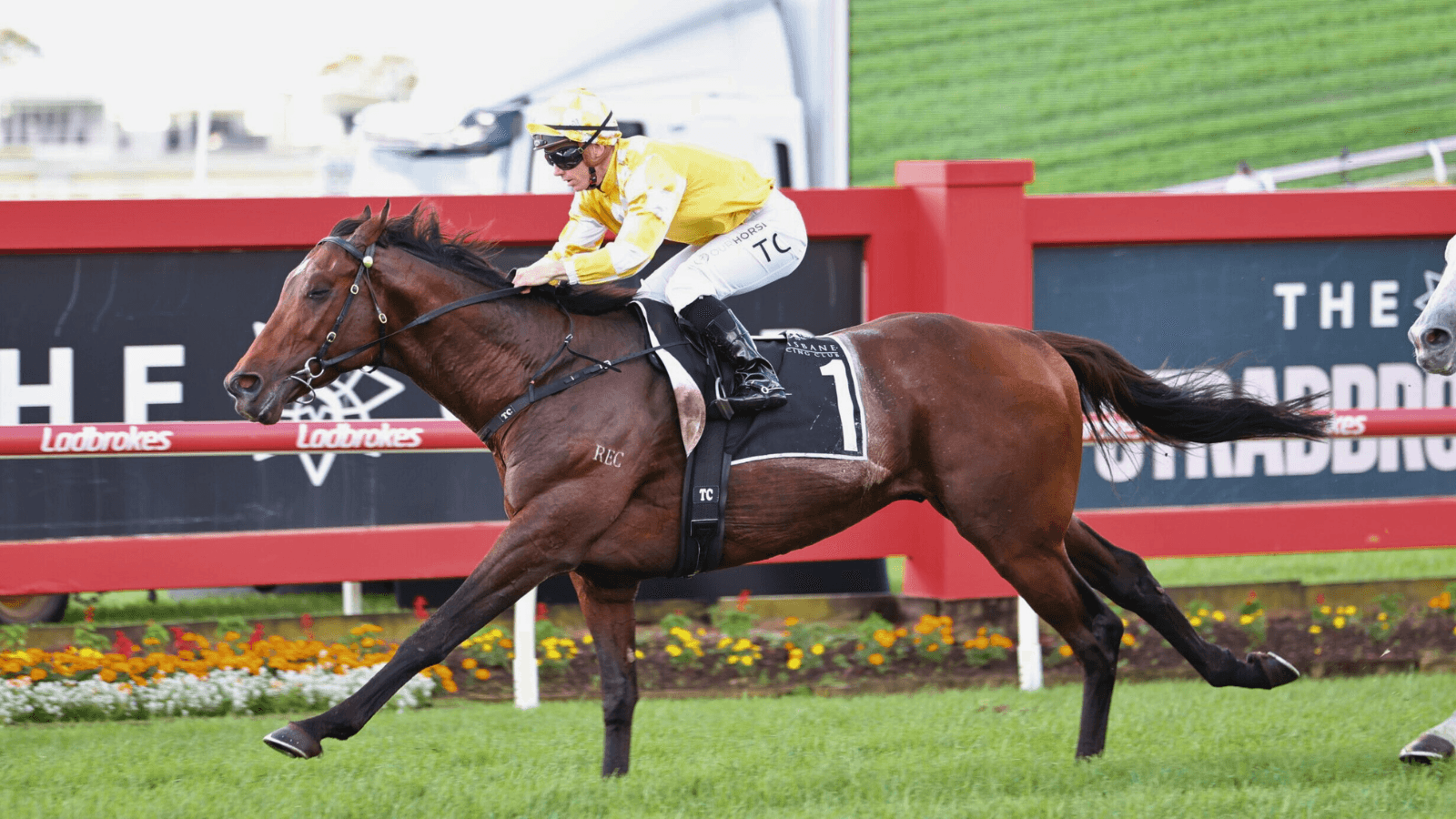 Chief handicapper names the biggest Melbourne Cup threat