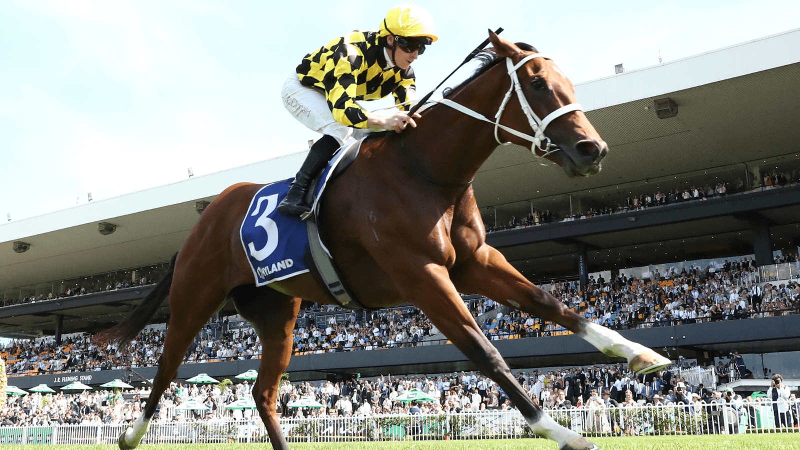 Will the Caulfield Guineas winner also win the Cox Plate?