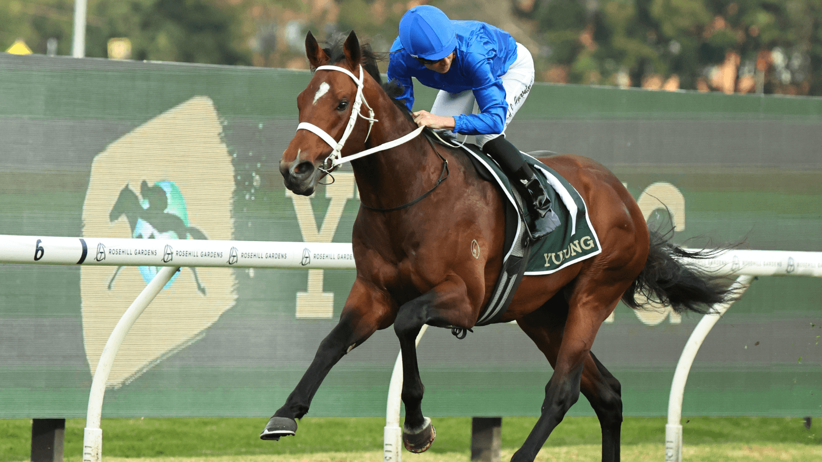 "Too good": Beiwacht dominates in the Golden Rose