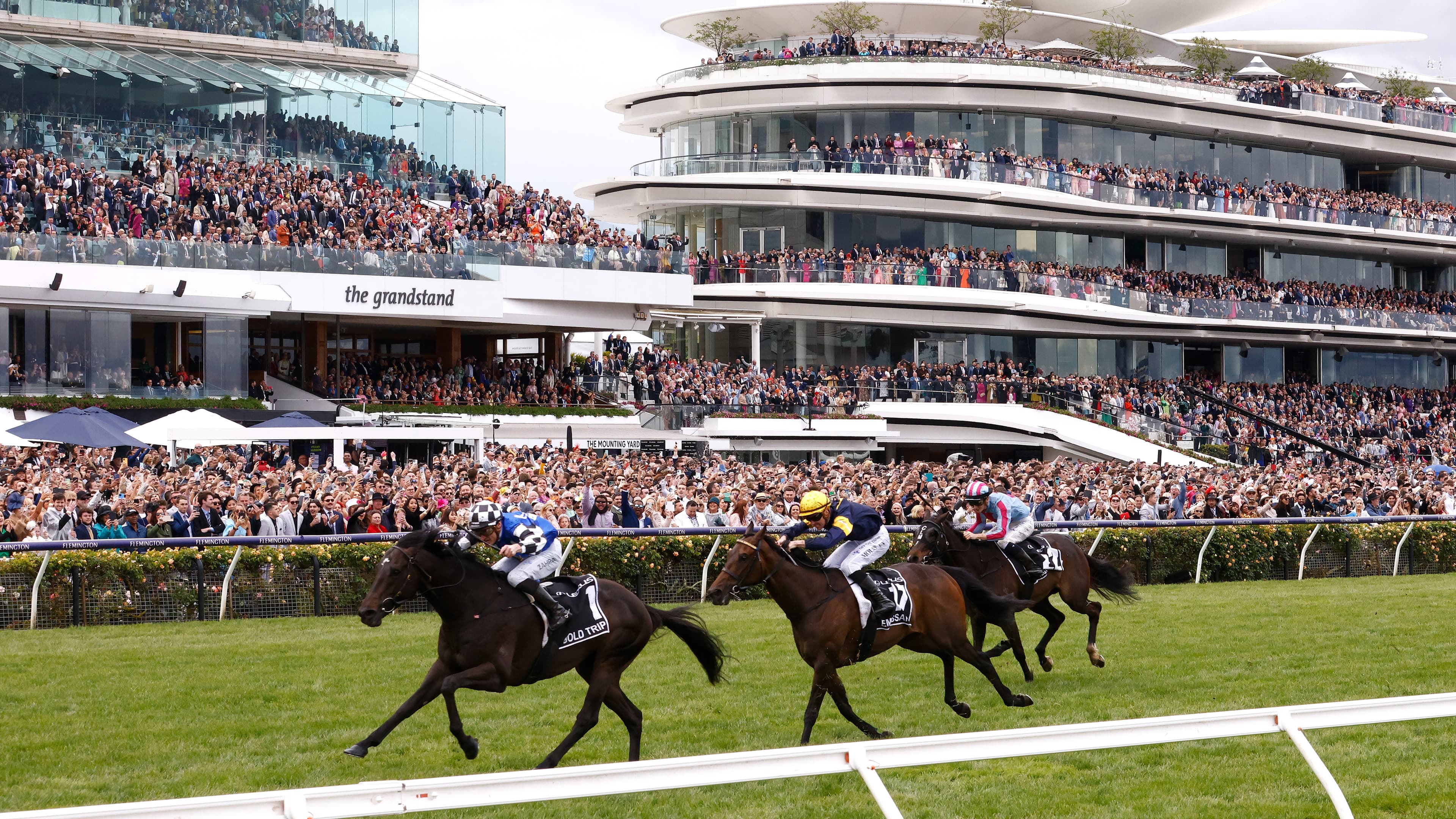 ChatGPT's Melbourne Cup tip