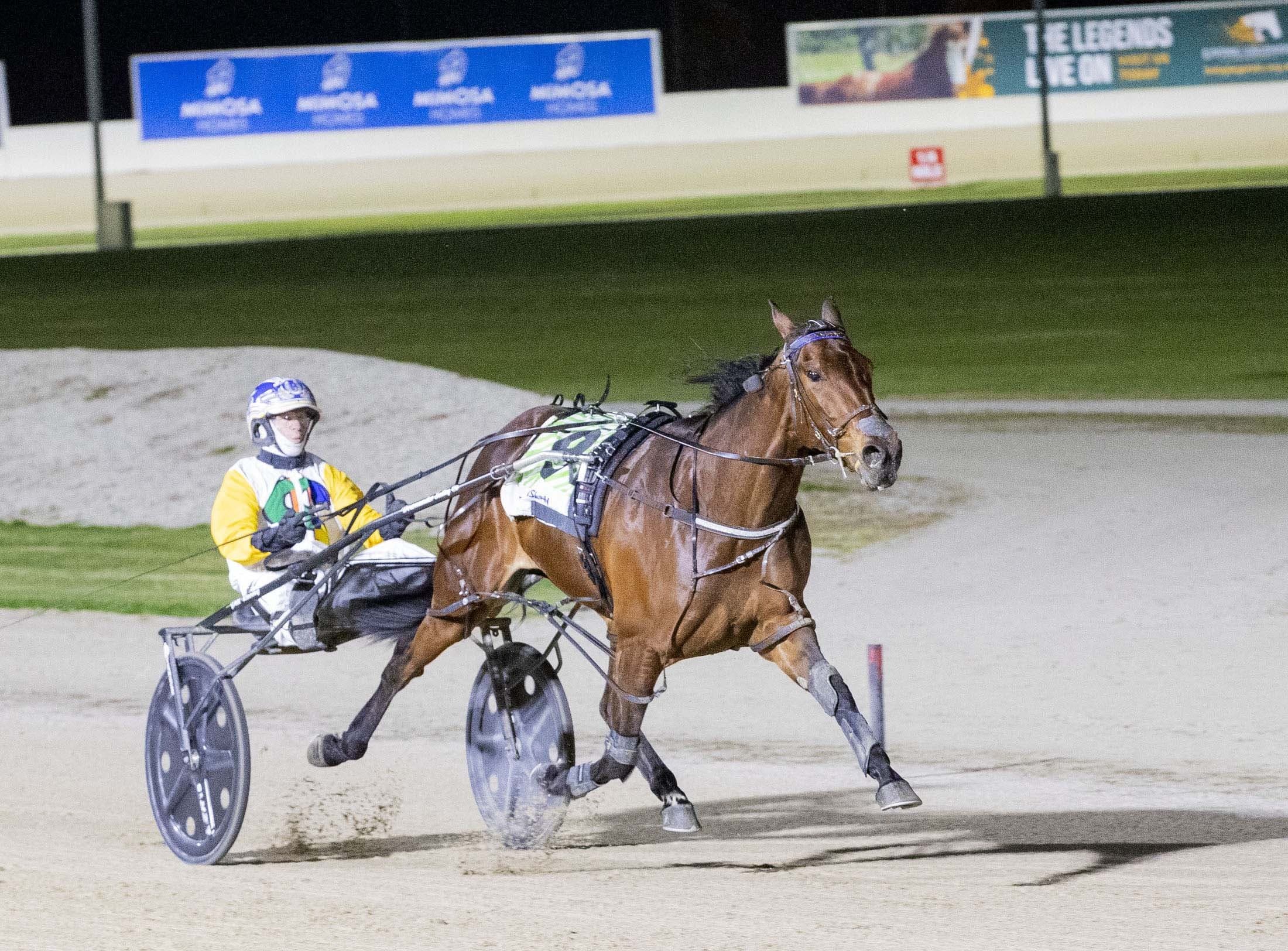 Fillies In Charge chase Birchip glory with Soap And Bubbles