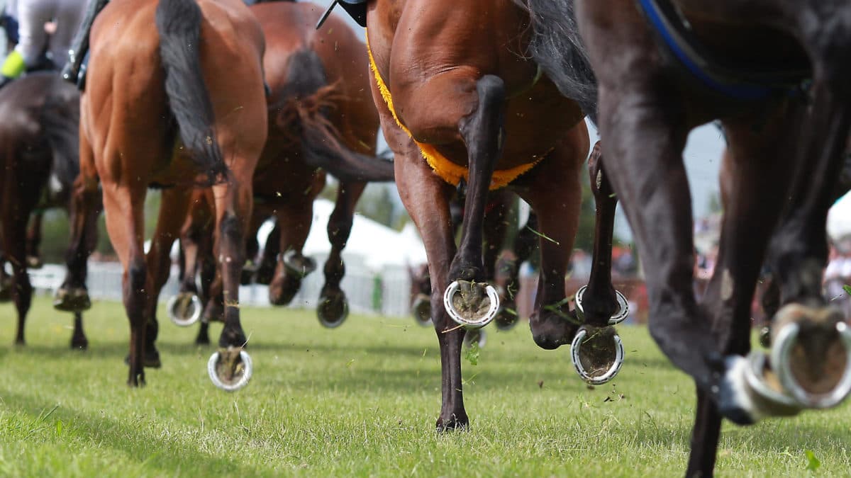 “Still learning her craft”: Why Zipping Classic winner will only improve