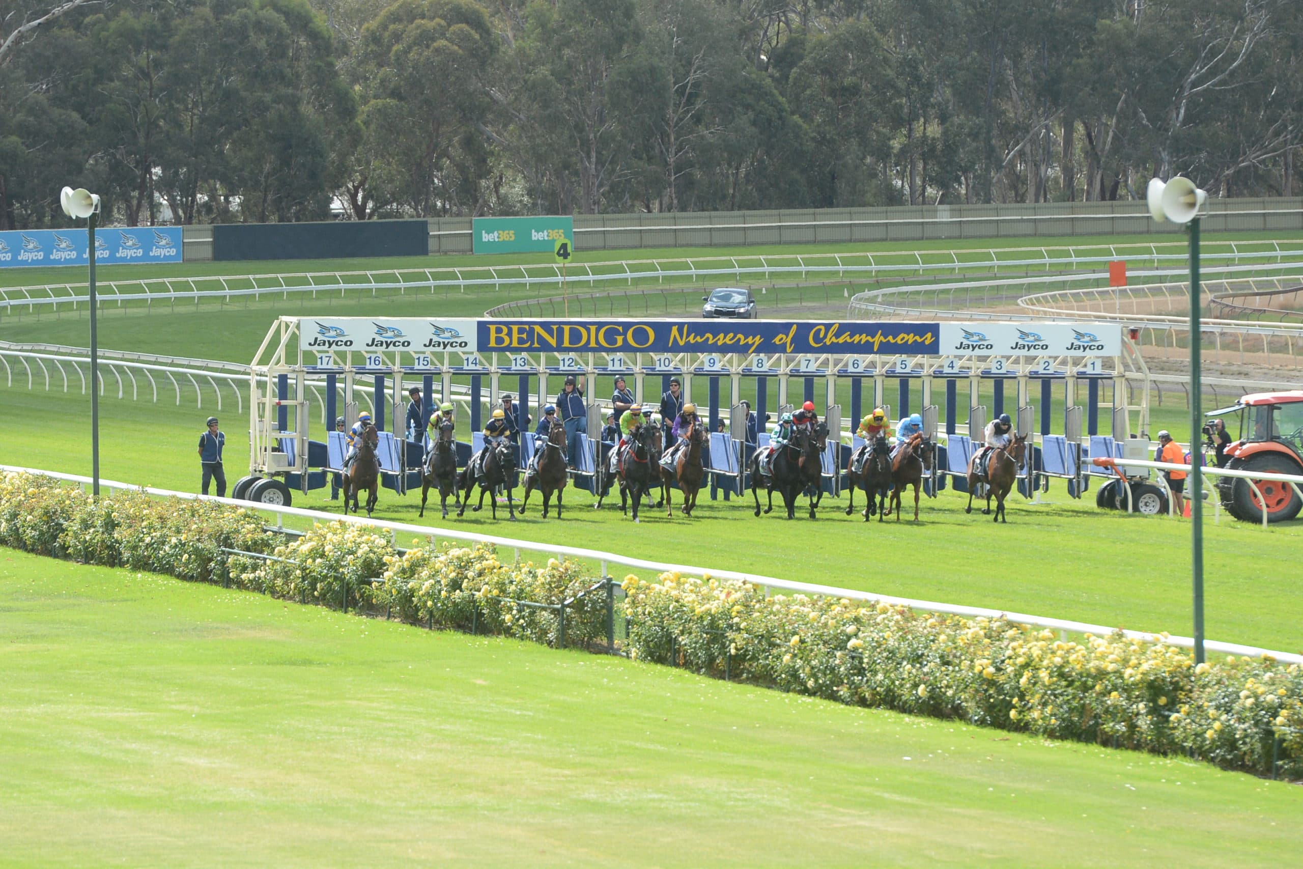 Sunday best bets from Sam Hyland (17/08)