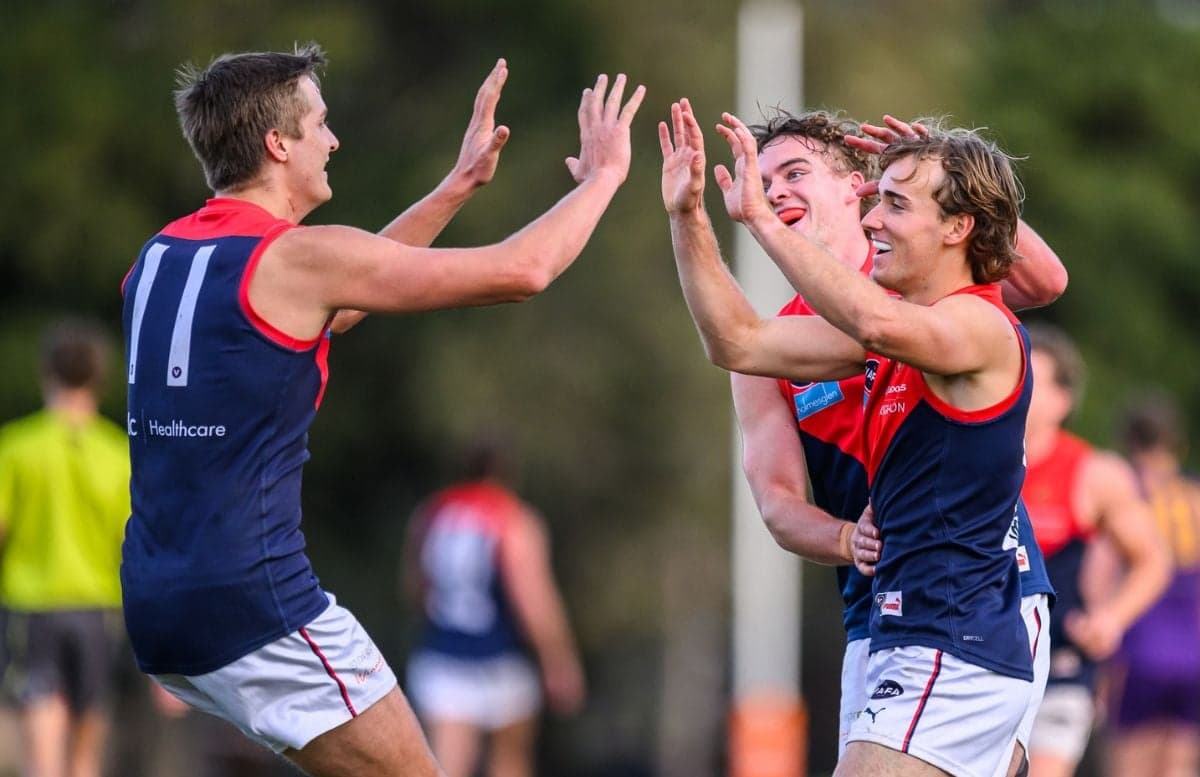 VAFA William Buck Premier Men's Round 18 Review
