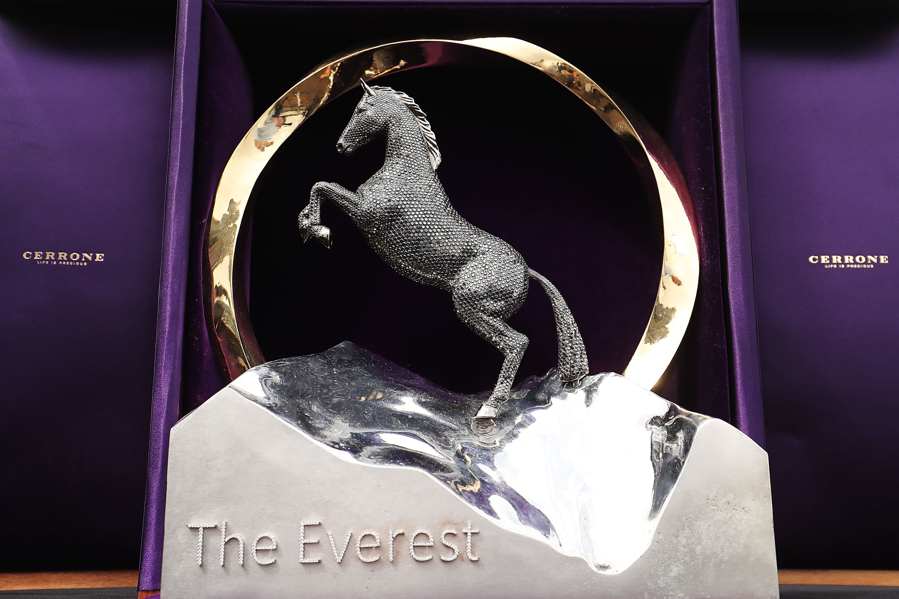 The Everest finishing order: Winner, results