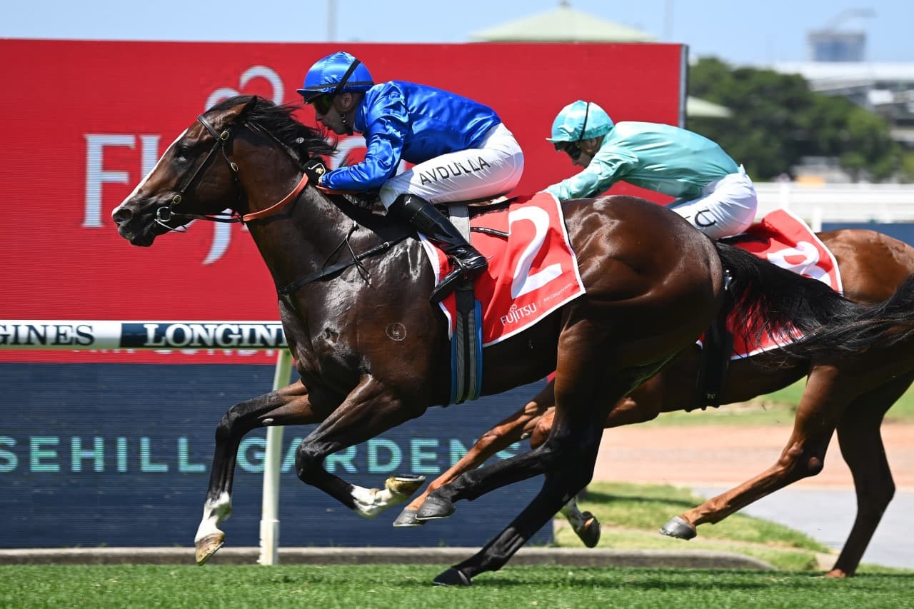 “Shapes ideally”: Mick Gannon's Saturday plays at Rosehill (28/06)