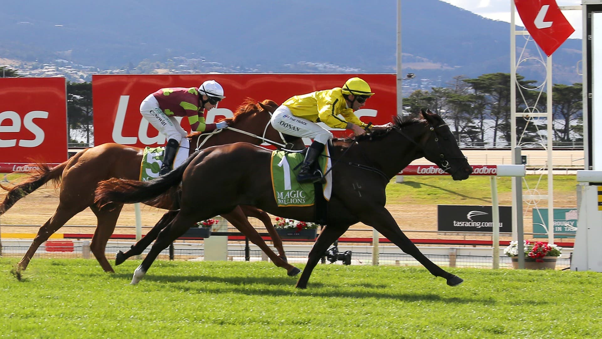 Matt Reid’s best bets on Launceston Cup Day (25/02)