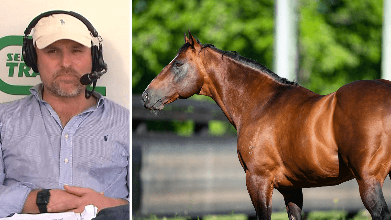 Hall: Snitzel is "making a statement with his progeny"