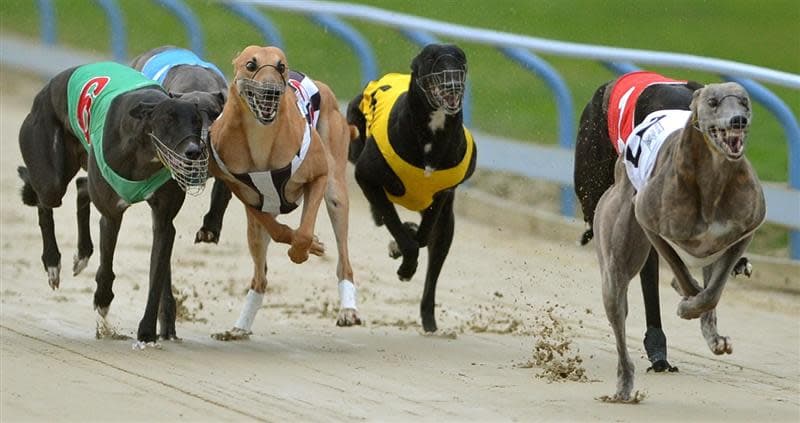 Mitch Ebeyer's Thursday Focus and best bets at Q2 Parklands (02/10)