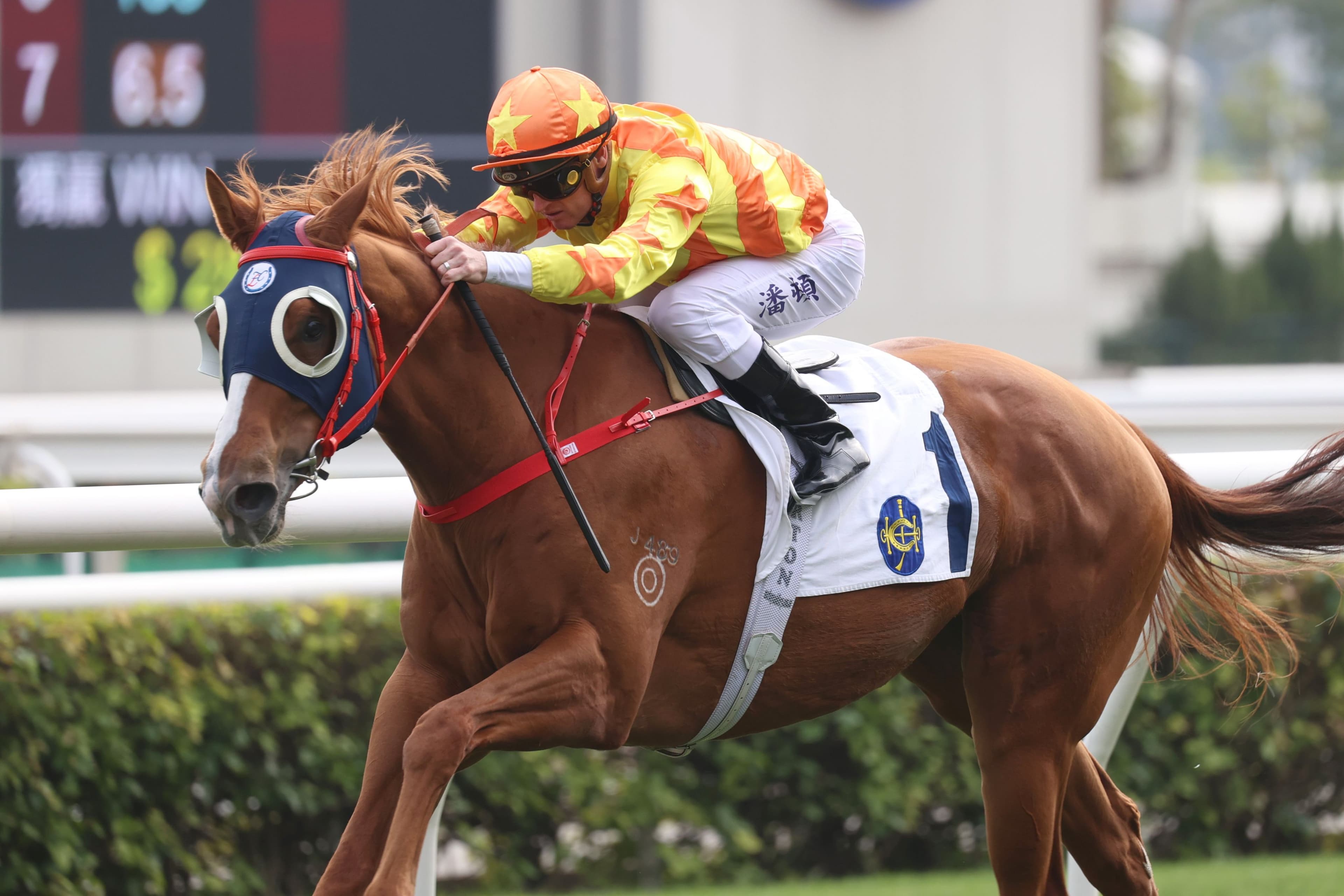 Four for Size, double for Purton as Aussie hoop steams towards all-time Hong Kong record