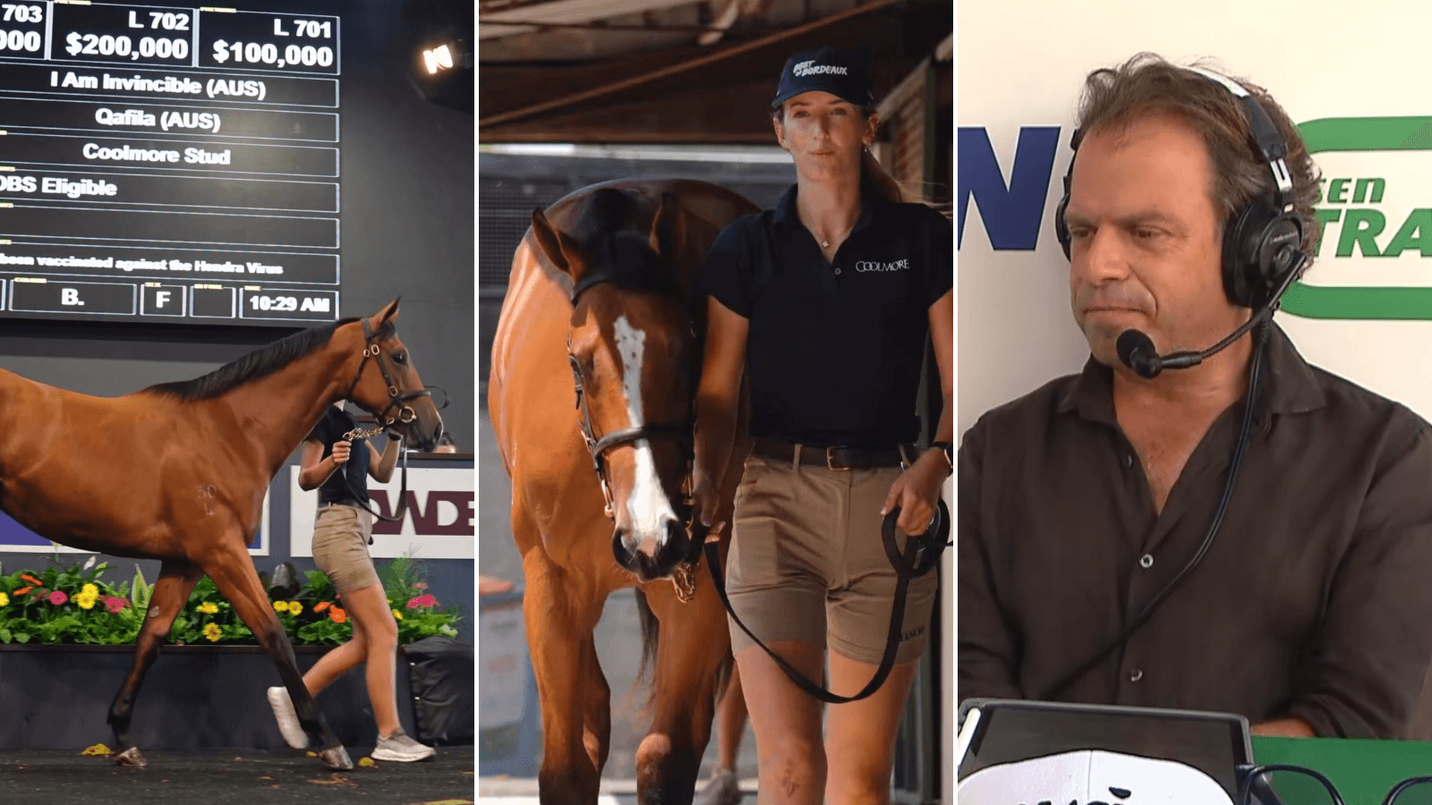 Chris Waller purchases I Am Invincible filly for $1.25 million