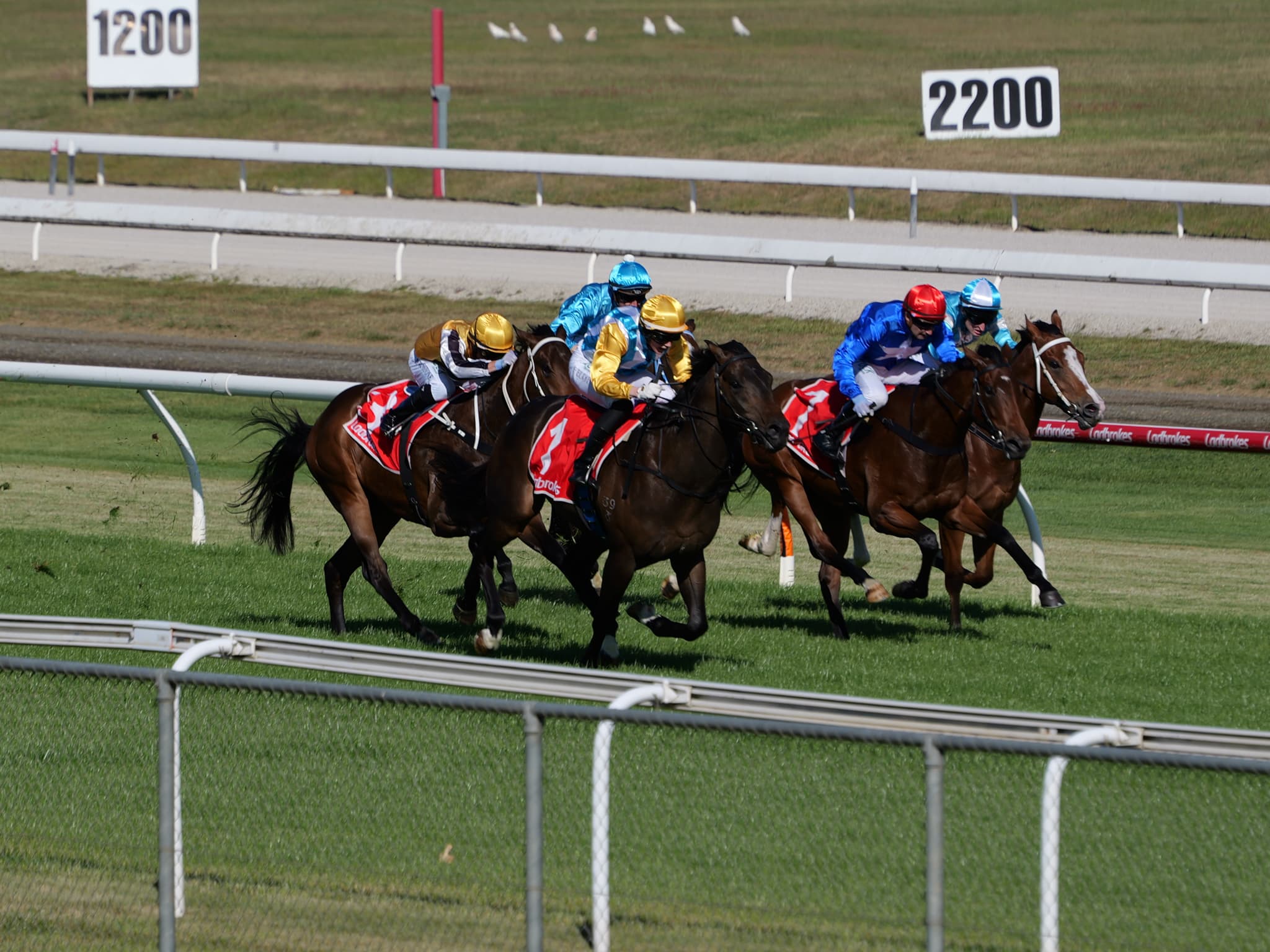 Tasracing's Friday best bets at Launceston (09/01)