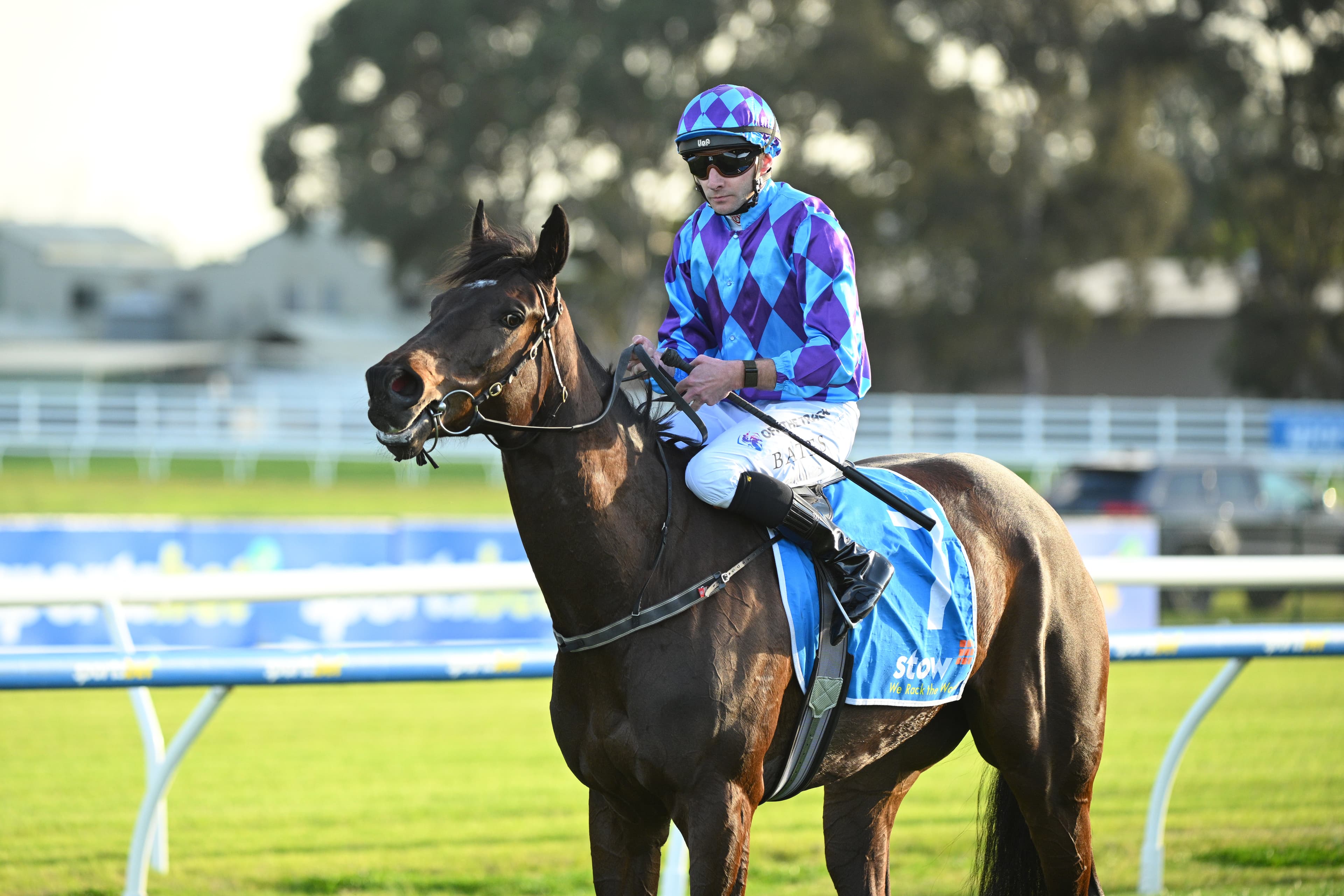 Maher gives update on Pride Of Jenni