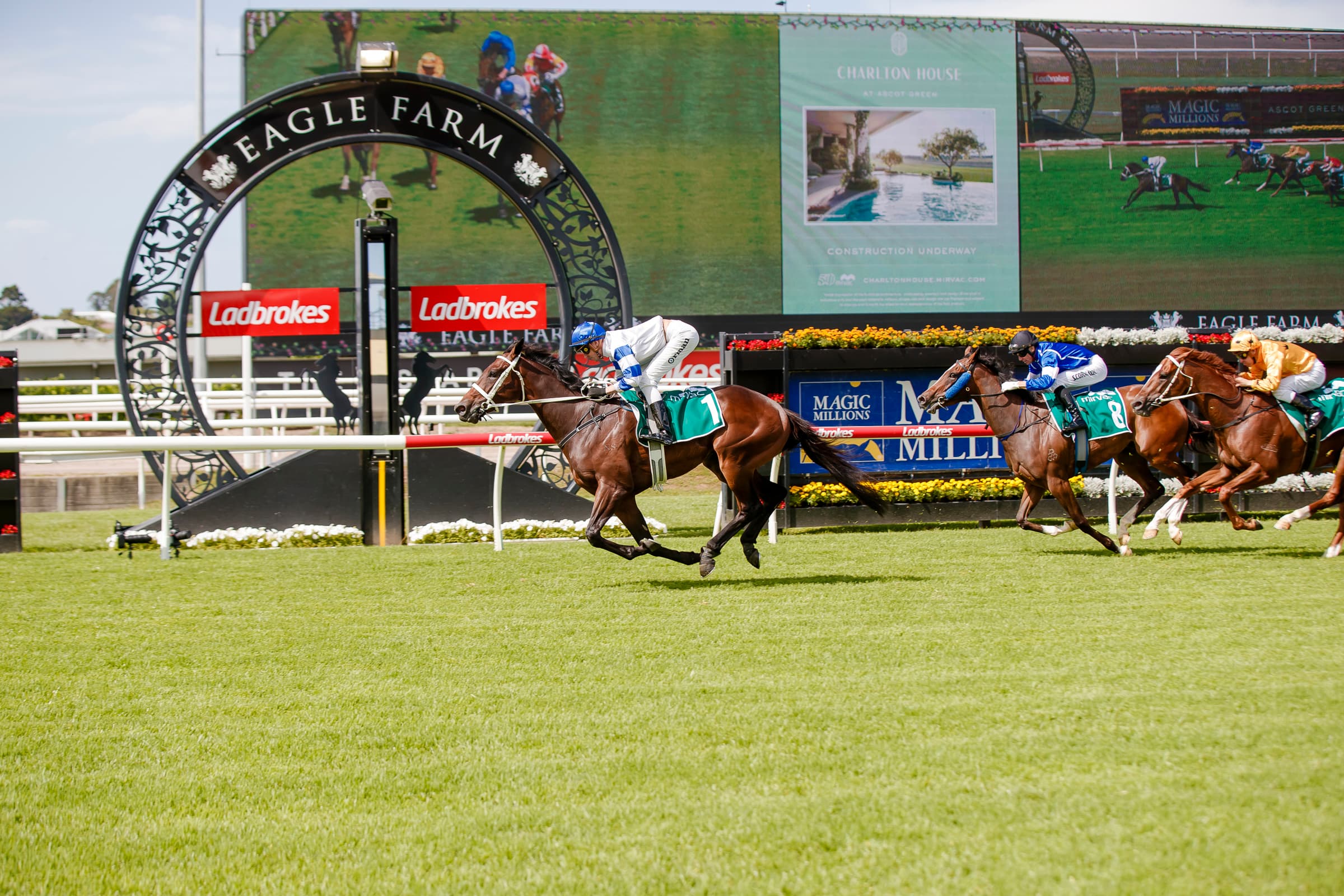 Seven Grand Prix Stakes Raceday