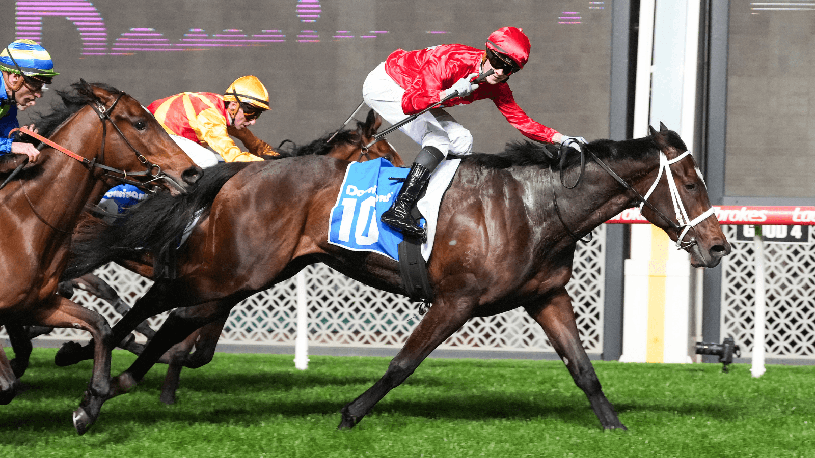 "Dominant": Neindorf sees improvement ahead for gun filly