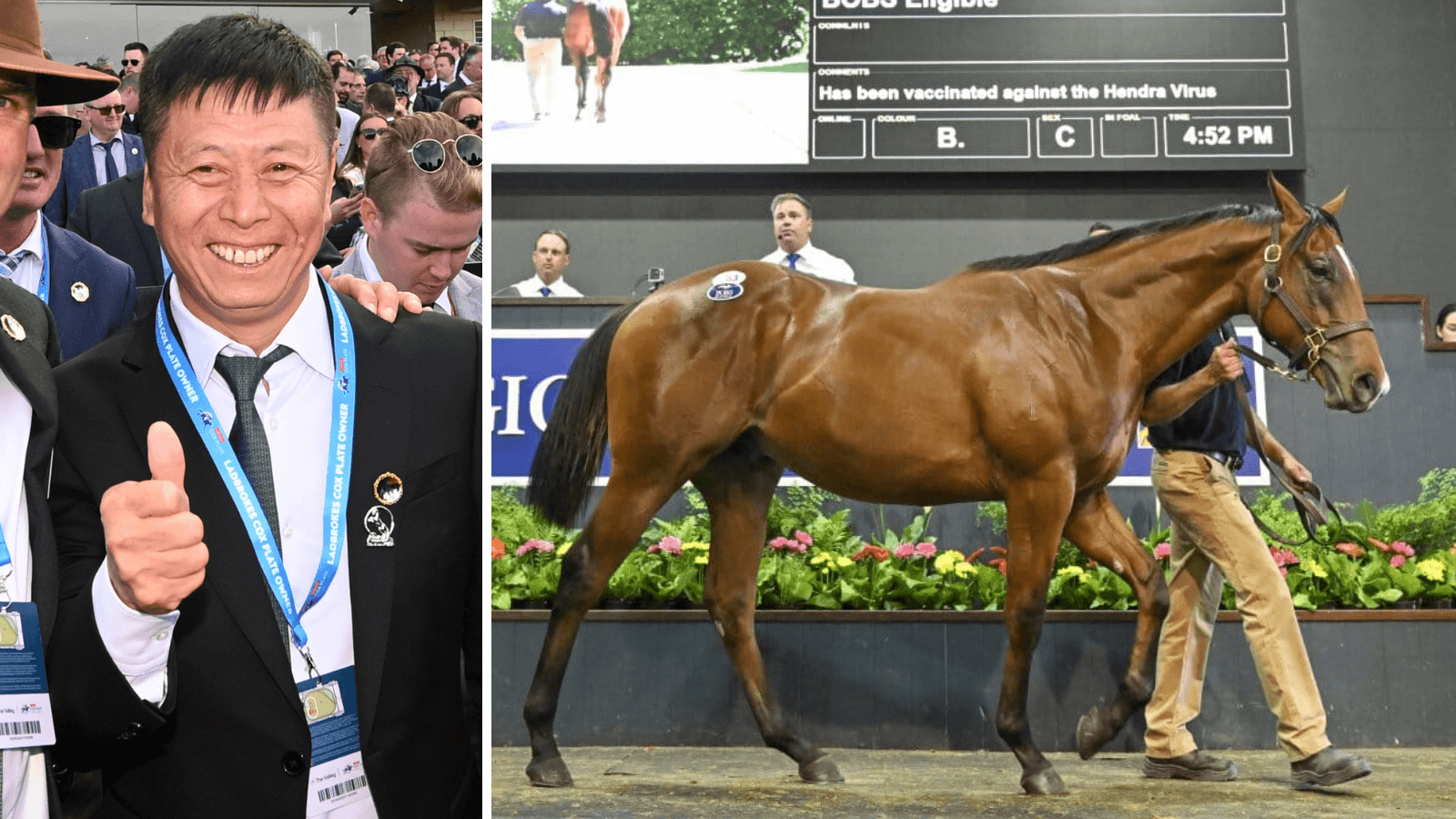 Fairgray: Yulong "fortunate" for Mr Zhang's Magic Millions Sales return