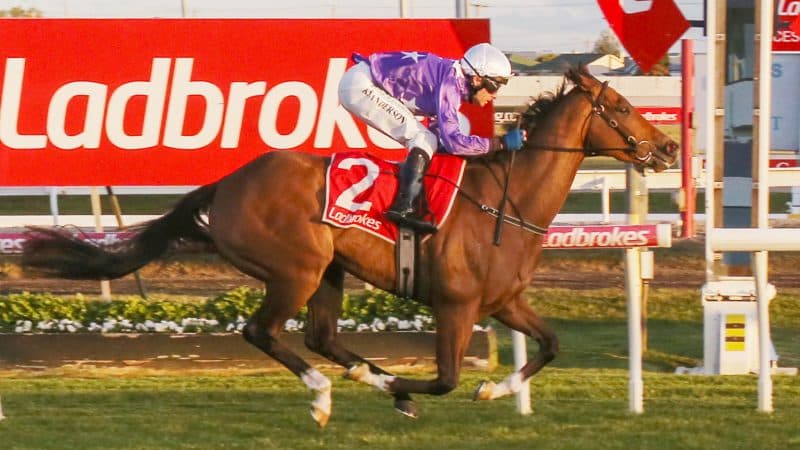 SENTrack: Sunday best bets with Miles Pfitzner (27/04)
