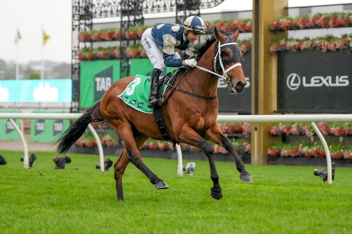 Waller: Buckaroo a “big” Melbourne Cup chance