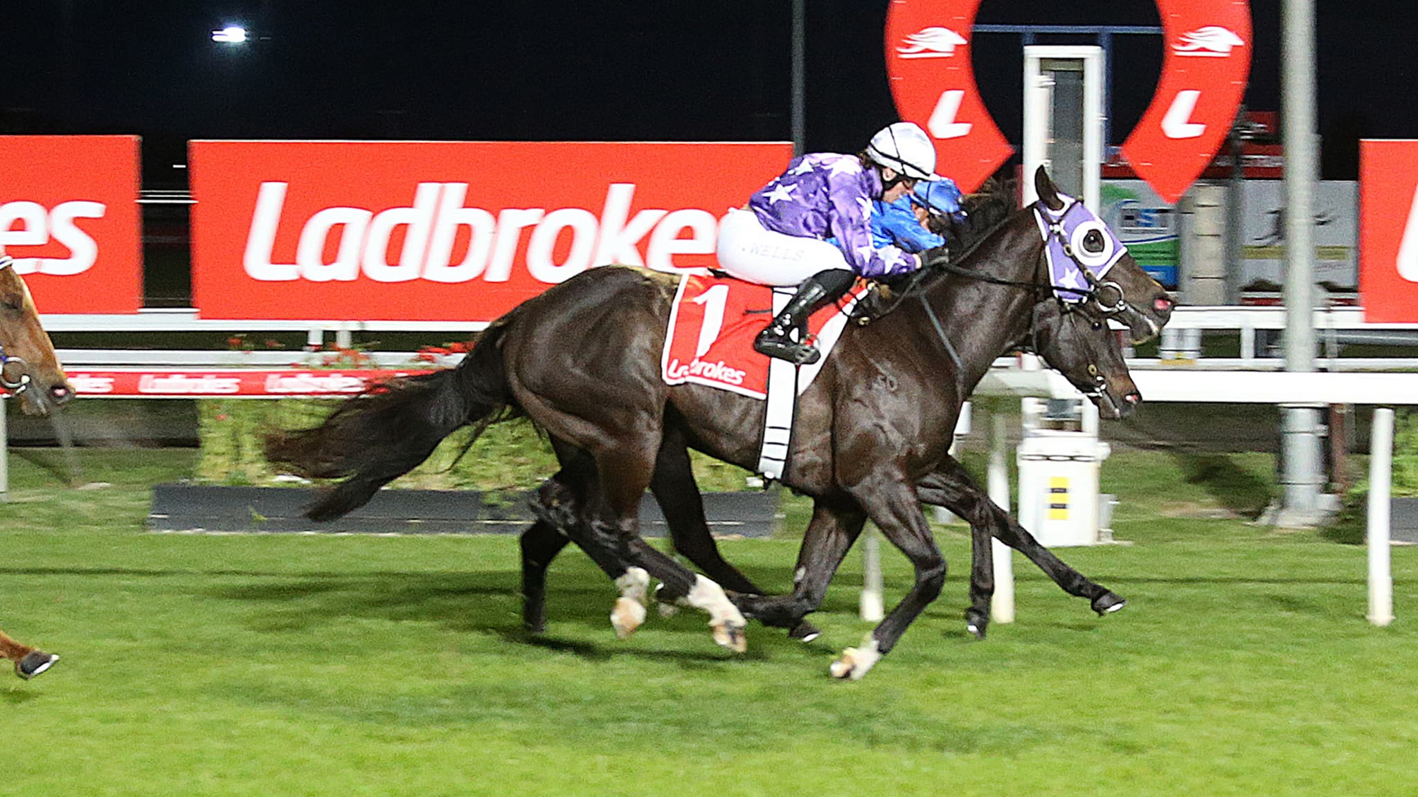 Tasracing's Wednesday best bets at Launceston (03/12)