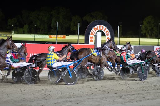Wednesday night best bets & punting strategy at Bendigo for Breeders Crown heats (06/11)