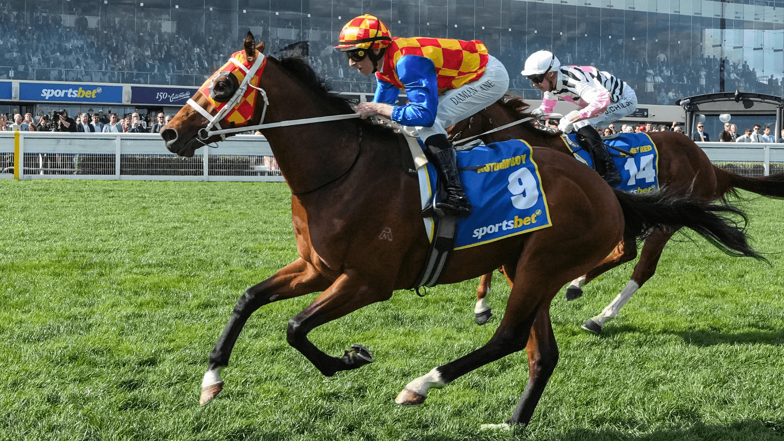 “Class above”: Mick Gannon's Saturday best at Randwick (07/03)