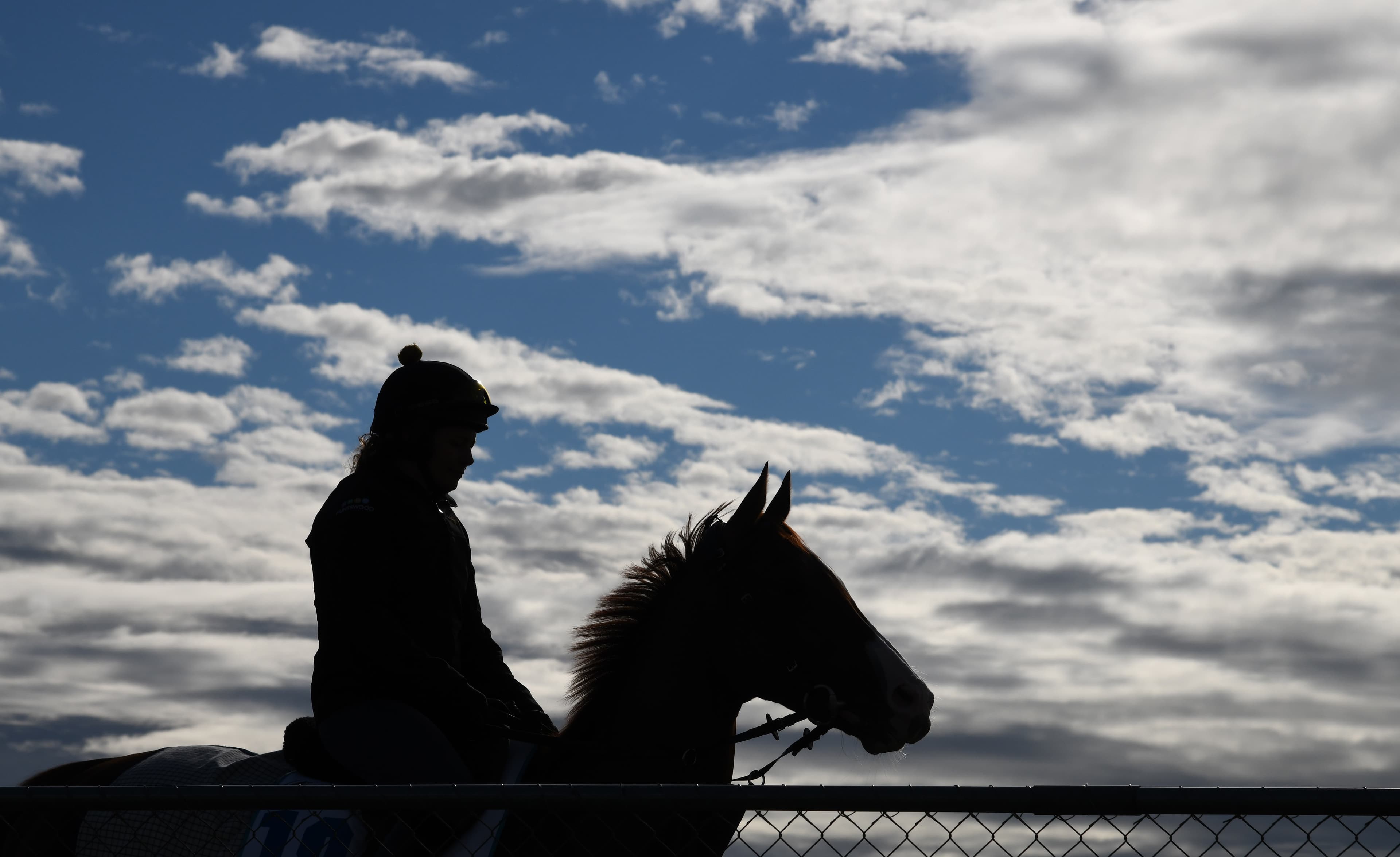 “Massive ramifications”: Leading WA trainers stood down