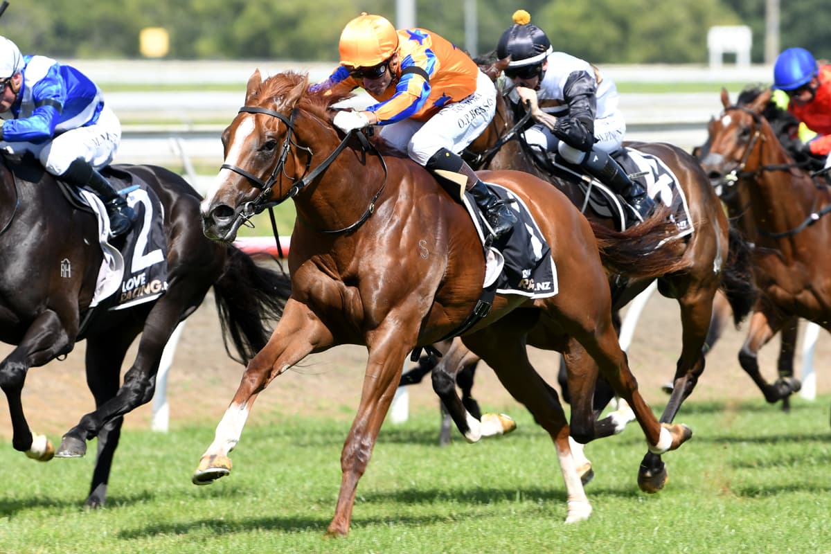 The Te Akau galloper that gets “a big tick” from Nick Quinn for the Cranbourne Cup