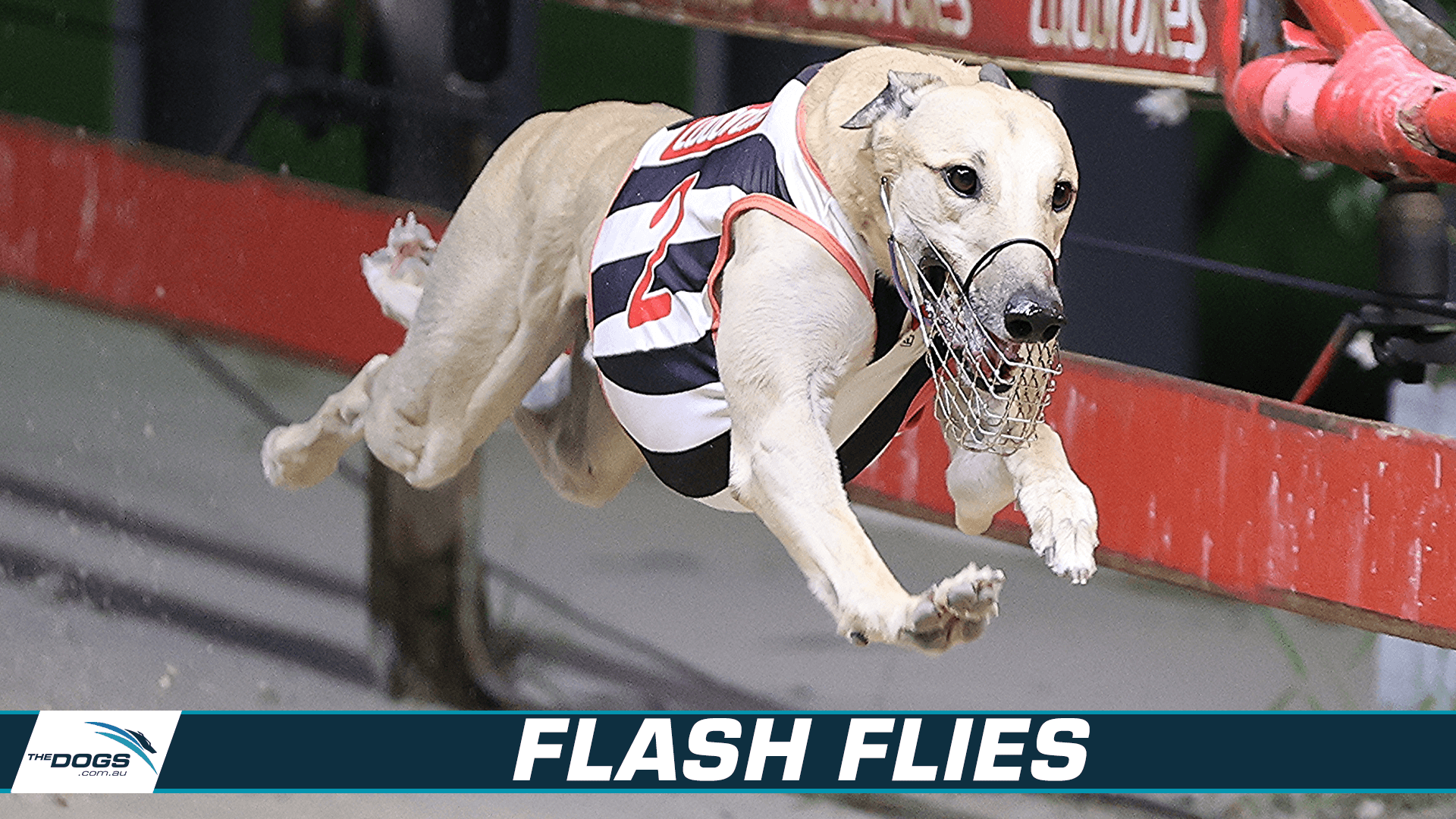 "The Million Bucks Is Ours" Says Smith