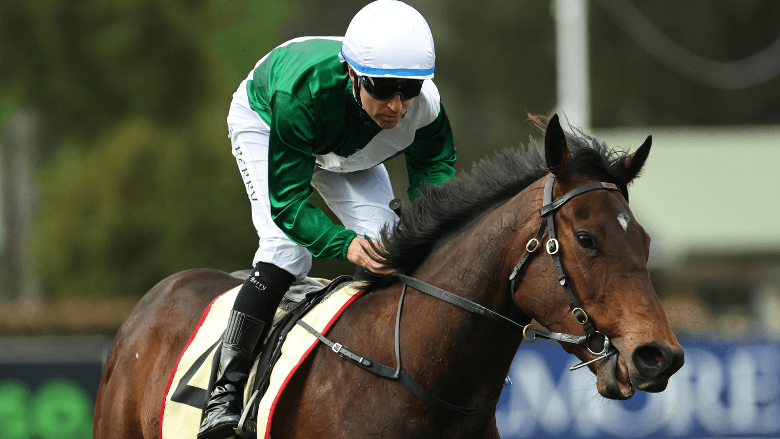 Curse breaker Marhoona primed for huge spring