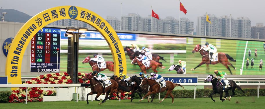 Sunday best and value bets plus full selections at Sha Tin (08/06)