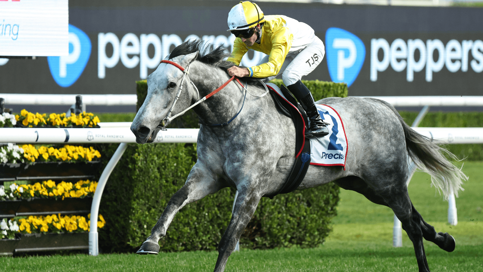 Hawkes: Briasa has "gone to the next level" ahead of autumn prep