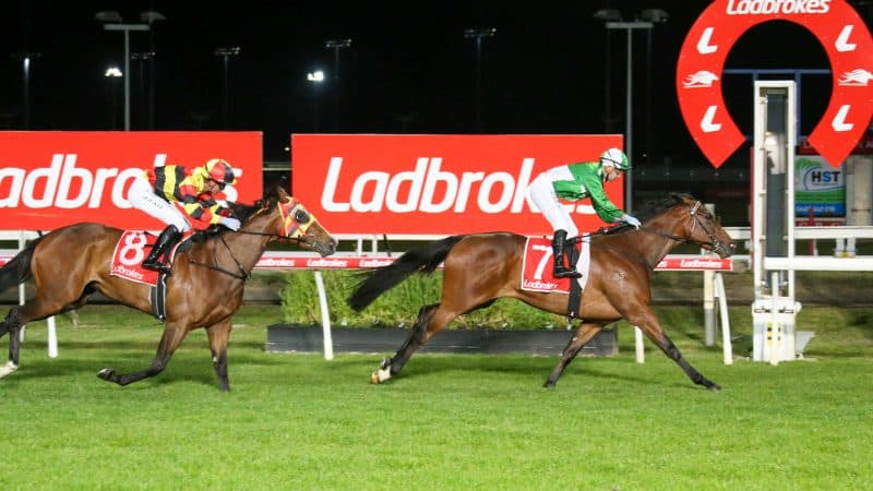 Tasracing's Wednesday best bets at Launceston (14/01)