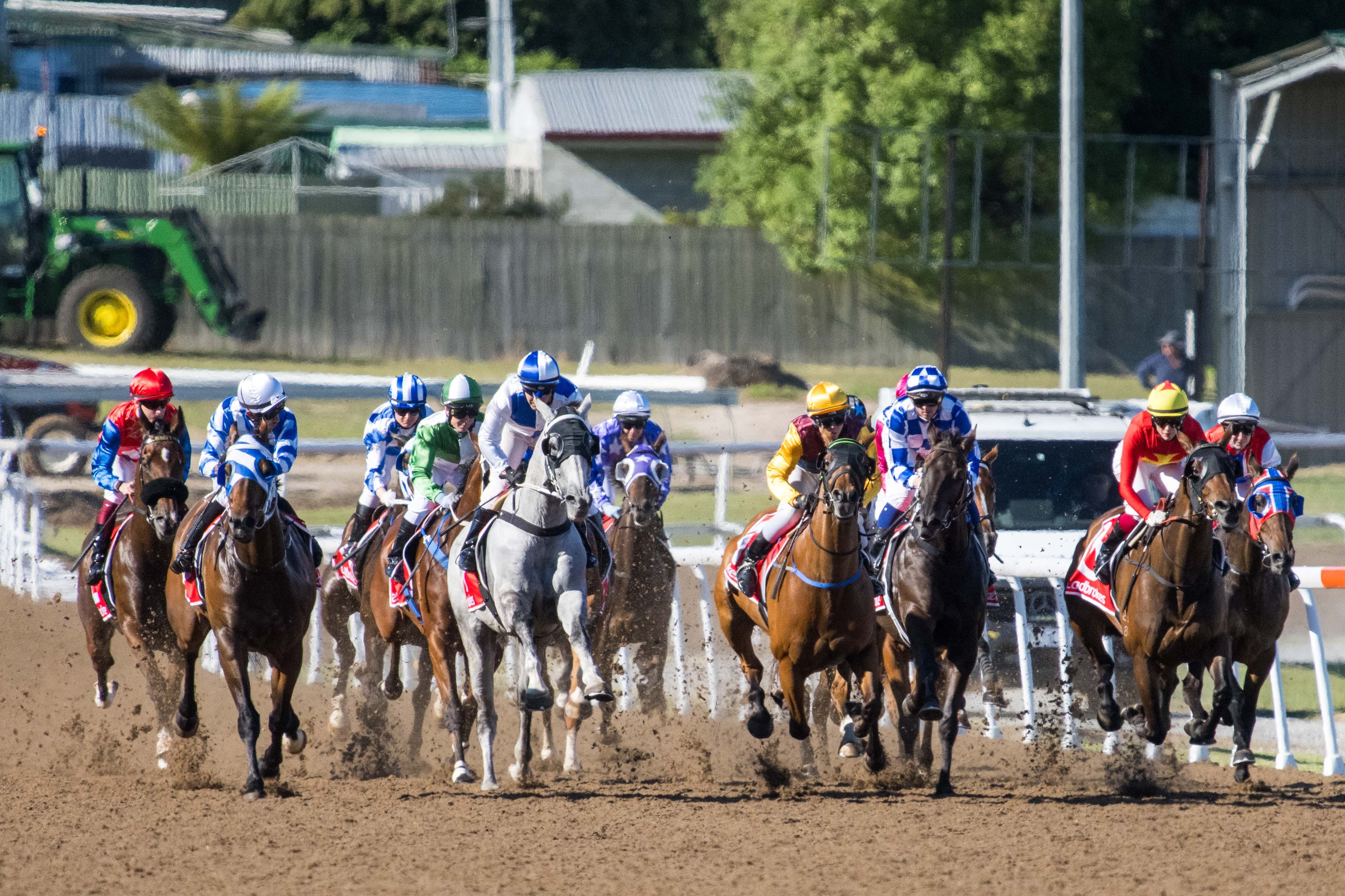 Tasracing's Sunday best bets at Devonport (28/09)