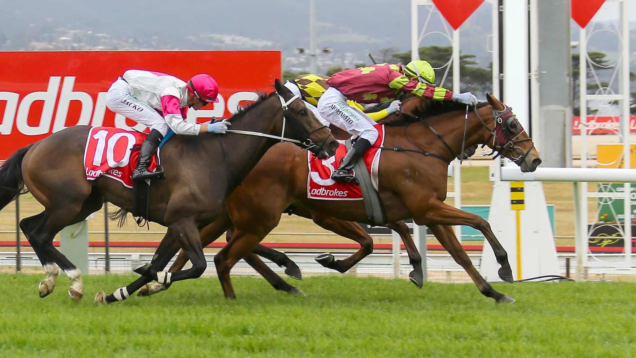 The major player in Launceston Cup lead-up