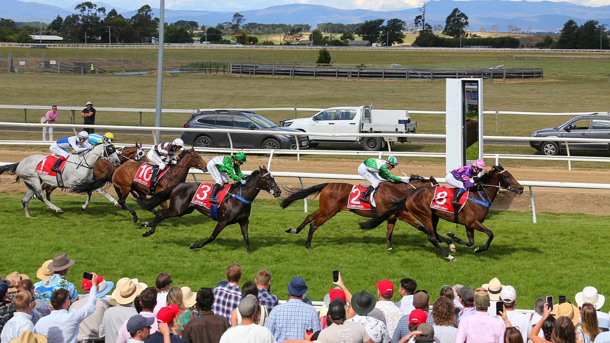 Distrustful Award is back to defend his Longford Cup title