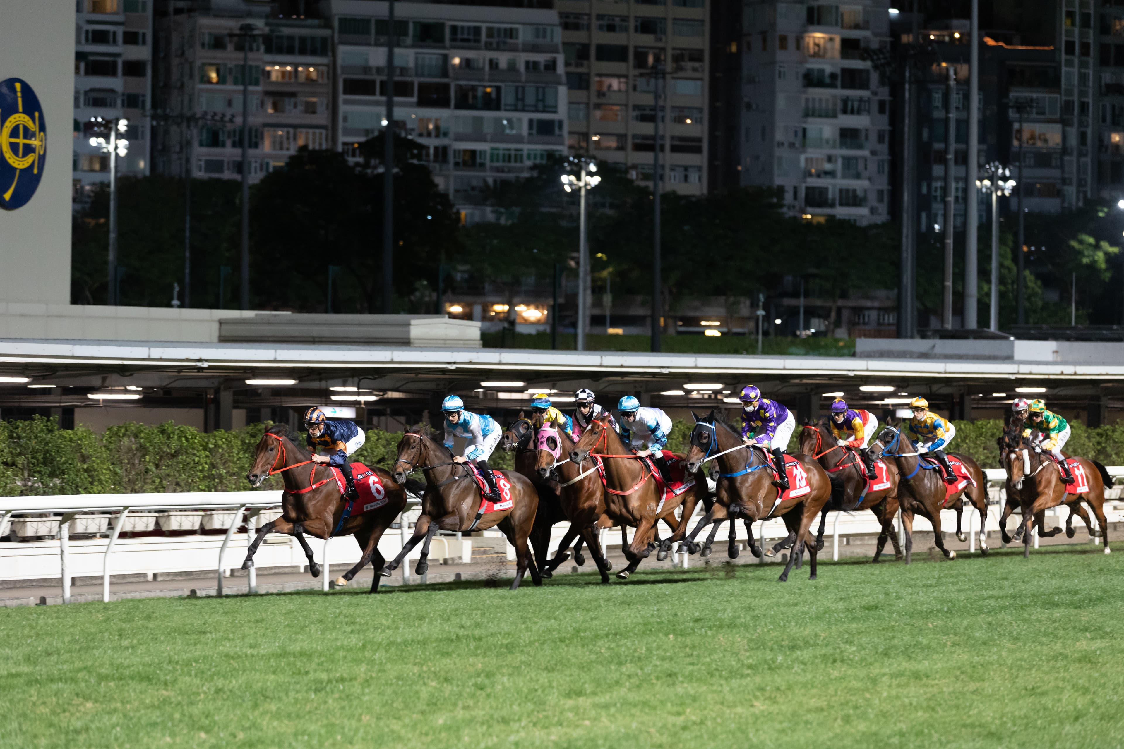 Wednesday best bets and full selections at Happy Valley (20/11)