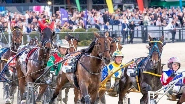 Tim O'Connor's Friday harness tips at Melton (27/06)