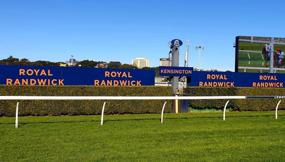 “Generous odds”: Mick Gannon's Wednesday plays at Randwick Kensington (25/06)