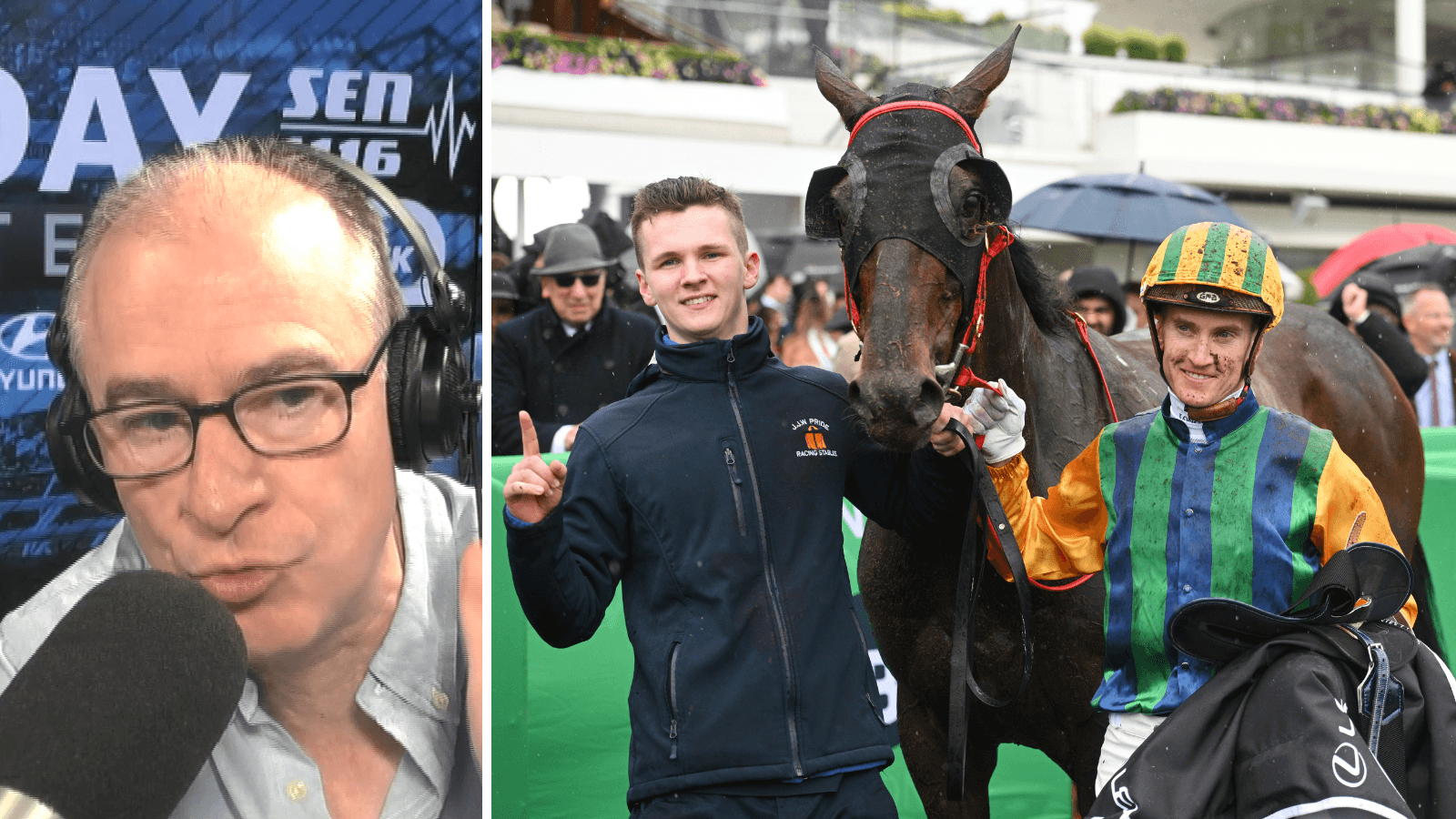 "Grey spot": Does the whip rule need to be harsher?