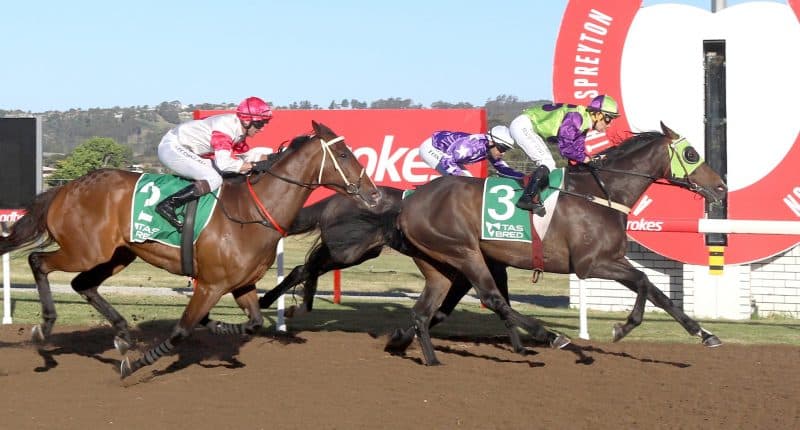 Matt Reid’s Wednesday best bets at Devonport for Cup Day (07/01)