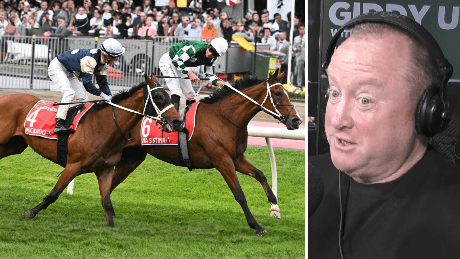 Hawkes: Cox Plate would have been "shizenhousen" if Buckaroo won