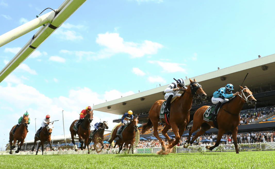 “The class act”: Mick Gannon's Saturday best at Rosehill (14/03)