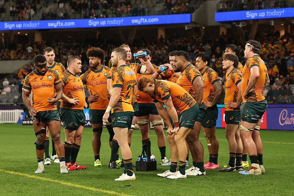 Schmidt admires Wallabies' effort despite winless Spring Tour