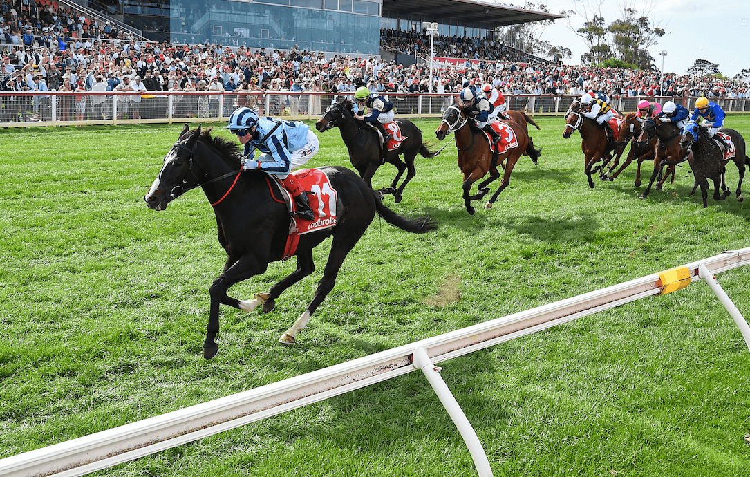 Matt Hill’s Melbourne Cup tip and an early push for the Oaks