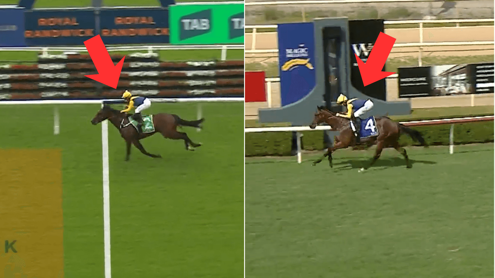 Paradoxium or Warwoven? Which 2YO will win the Magic Millions