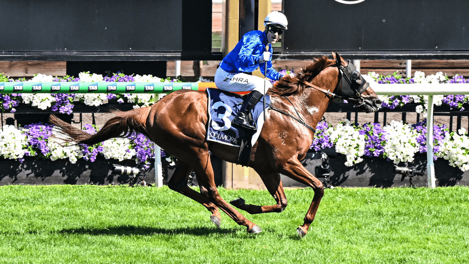 Why Freedman isn't concerned with Tentyris' weight in Newmarket