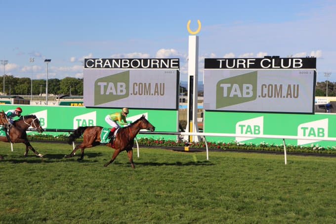 The UPC Showdown Roughie Report Ascot, Cranbourne and Kembla Grange (23/11)